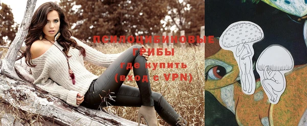 крисы Нягань