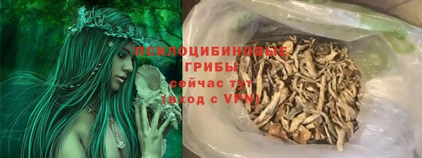 бошки Абаза