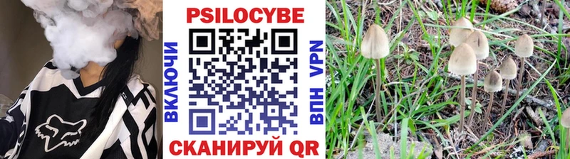 это клад  Стрежевой  kraken сайт  Псилоцибиновые грибы мицелий  купить  цена 